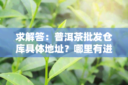 求解答：普洱茶批发仓库具体地址？哪里有进货源？