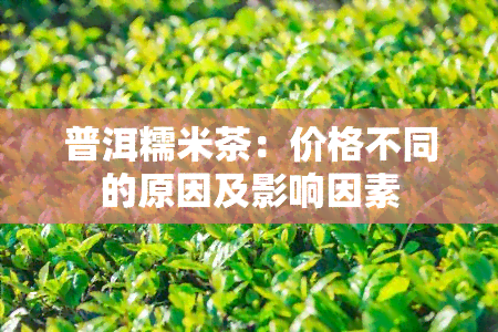 普洱糯米茶：价格不同的原因及影响因素