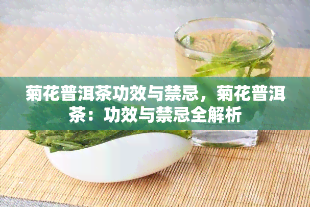 菊花普洱茶功效与禁忌，菊花普洱茶：功效与禁忌全解析