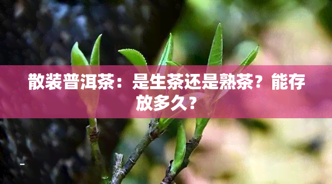 散装普洱茶：是生茶还是熟茶？能存放多久？