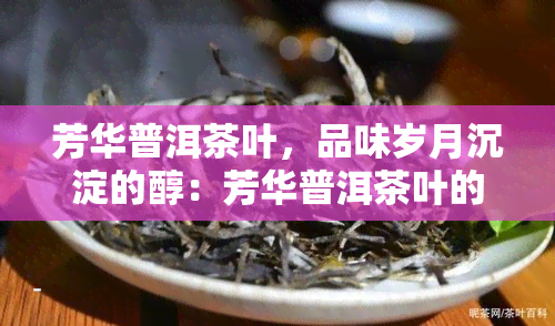 芳华普洱茶叶，品味岁月沉淀的醇：芳华普洱茶叶的魅力探索