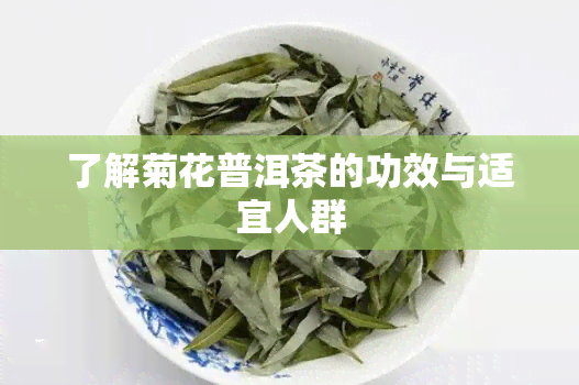 了解菊花普洱茶的功效与适宜人群