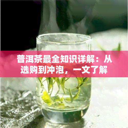 普洱茶最全知识详解：从选购到冲泡，一文了解