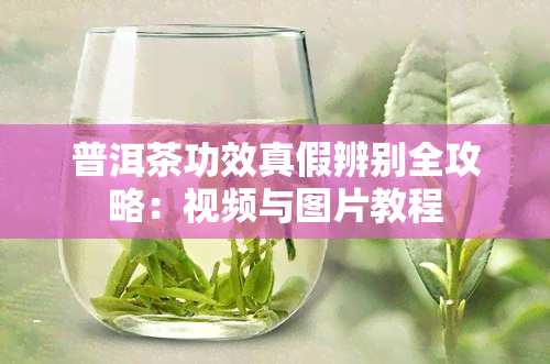 普洱茶功效真假辨别全攻略：视频与图片教程