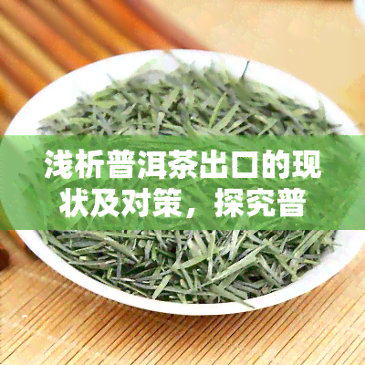 浅析普洱茶出口的现状及对策，探究普洱茶出口：现状与应对策略