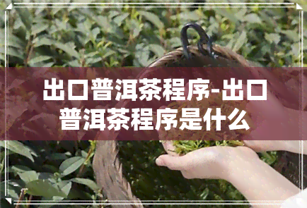 出口普洱茶程序-出口普洱茶程序是什么