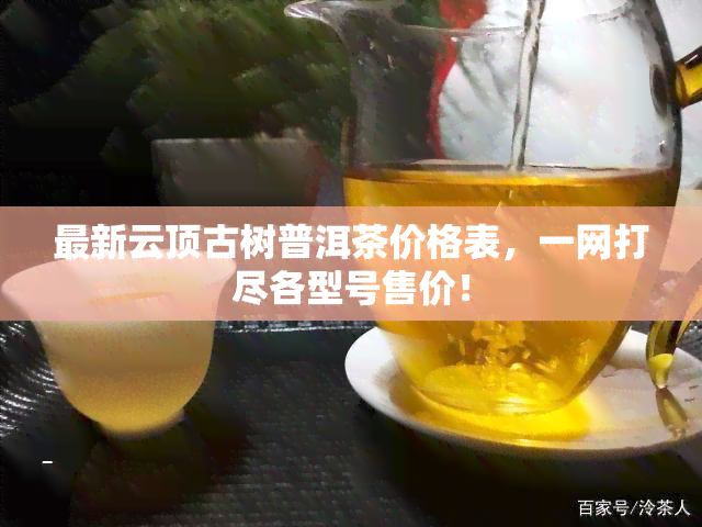 最新云顶古树普洱茶价格表，一网打尽各型号售价！