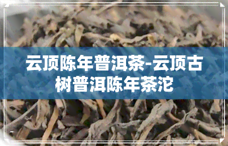 云顶陈年普洱茶-云顶古树普洱陈年茶沱