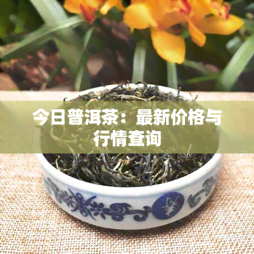 今日普洱茶：最新价格与行情查询