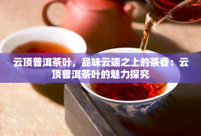 云顶普洱茶叶，品味云端之上的茶香：云顶普洱茶叶的魅力探究