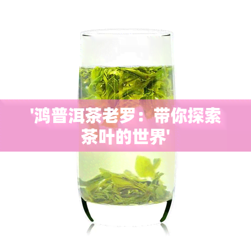 '鸿普洱茶老罗：带你探索茶叶的世界'