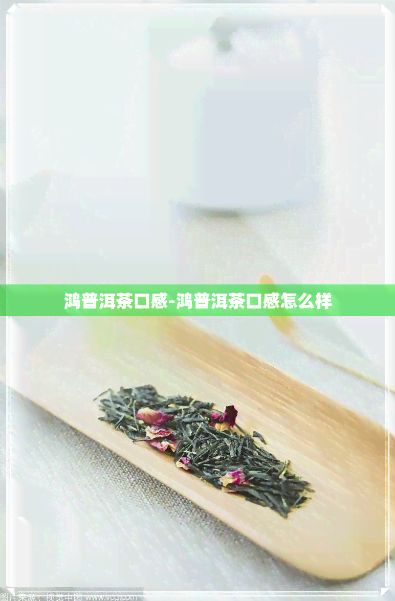 鸿普洱茶口感-鸿普洱茶口感怎么样