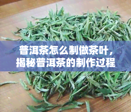 普洱茶怎么制做茶叶，揭秘普洱茶的制作过程：从采摘到烘焙的全过程解析