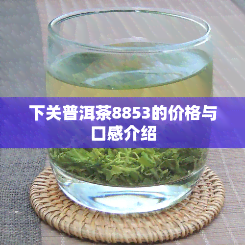 下关普洱茶8853的价格与口感介绍