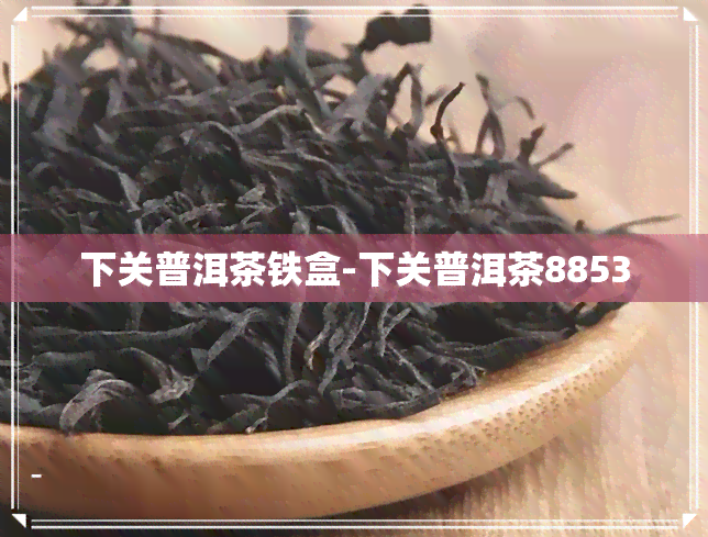 下关普洱茶铁盒-下关普洱茶8853