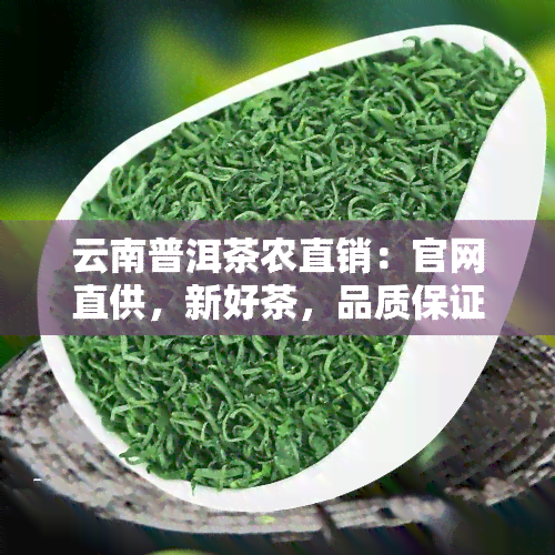 云南普洱茶农直销：官网直供，新好茶，品质保证！