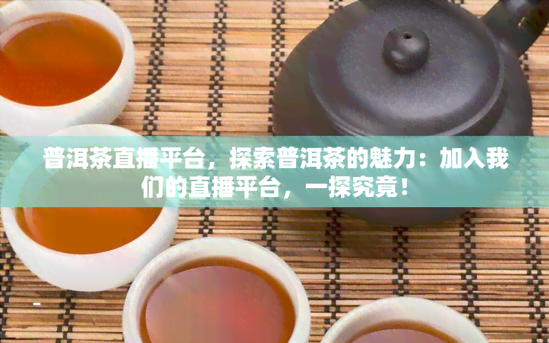 普洱茶直播平台，探索普洱茶的魅力：加入我们的直播平台，一探究竟！