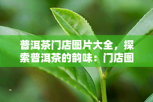 普洱茶门店图片大全，探索普洱茶的韵味：门店图片大全