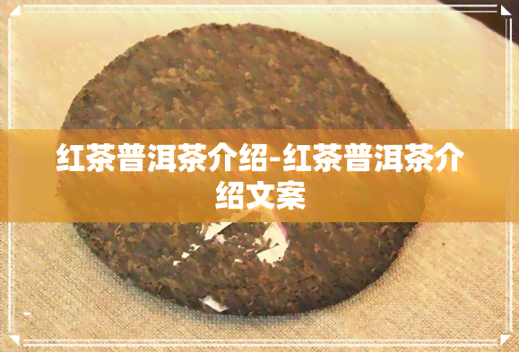 红茶普洱茶介绍-红茶普洱茶介绍文案