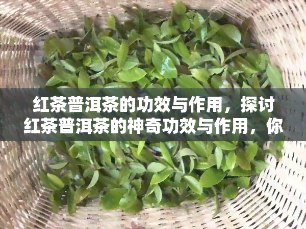 红茶普洱茶的功效与作用，探讨红茶普洱茶的神奇功效与作用，你不可不知的秘密！