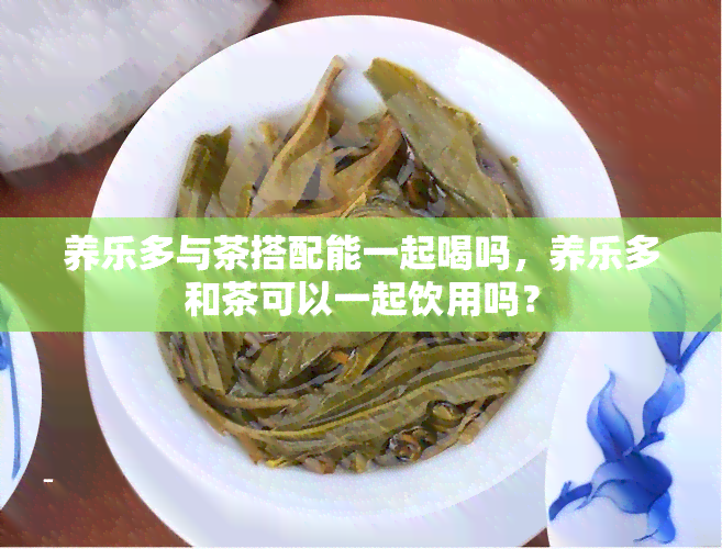 养乐多与茶搭配能一起喝吗，养乐多和茶可以一起饮用吗？