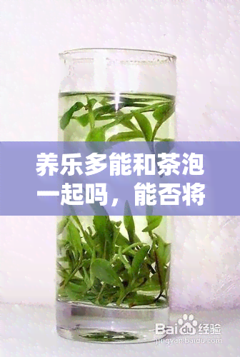 养乐多能和茶泡一起吗，能否将养乐多与茶混合饮用？