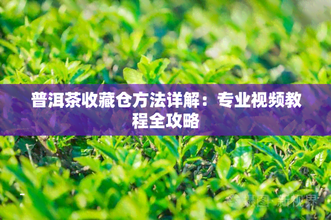 普洱茶收藏仓方法详解：专业视频教程全攻略