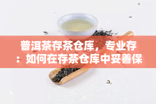 普洱茶存茶仓库，专业存：如何在存茶仓库中妥善保存您的普洱茶？