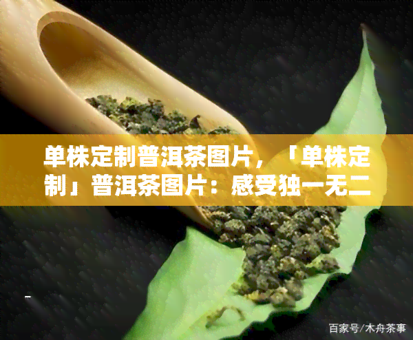 单株定制普洱茶图片，「单株定制」普洱茶图片：感受独一无二的茶叶之美