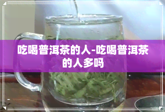 吃喝普洱茶的人-吃喝普洱茶的人多吗