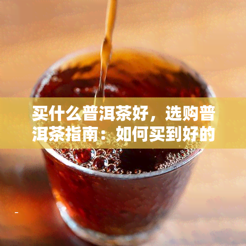 买什么普洱茶好，选购普洱茶指南：如何买到好的普洱茶？