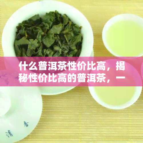 什么普洱茶性价比高，揭秘性价比高的普洱茶，一文带你了解选购技巧