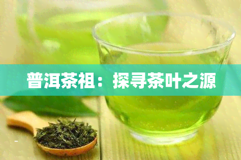 普洱茶祖：探寻茶叶之源