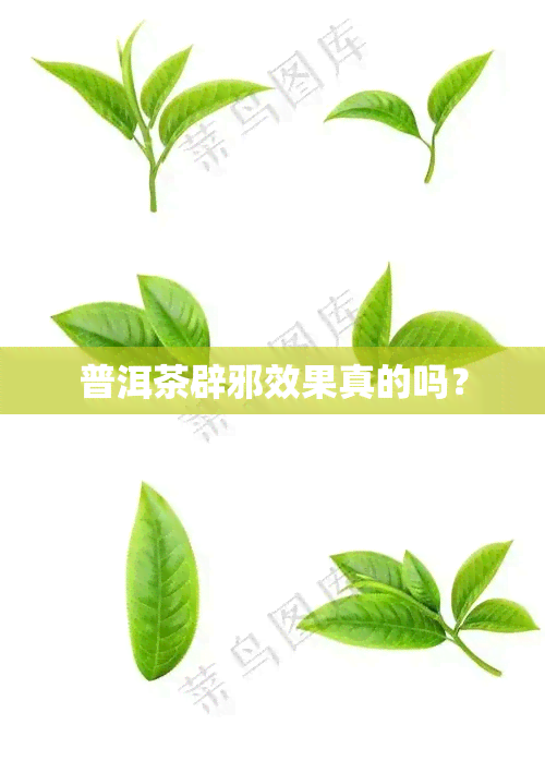 普洱茶辟邪效果真的吗？