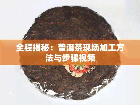 全程揭秘：普洱茶现场加工方法与步骤视频