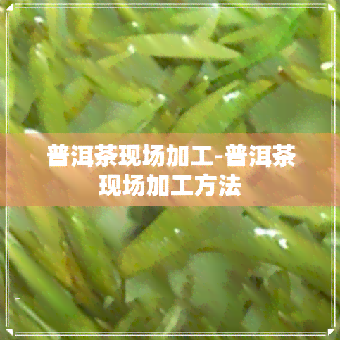 普洱茶现场加工-普洱茶现场加工方法