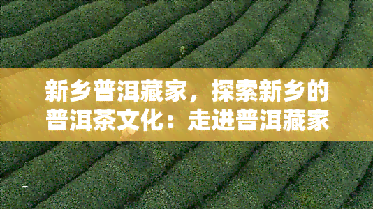 新乡普洱藏家，探索新乡的普洱茶文化：走进普洱藏家的世界