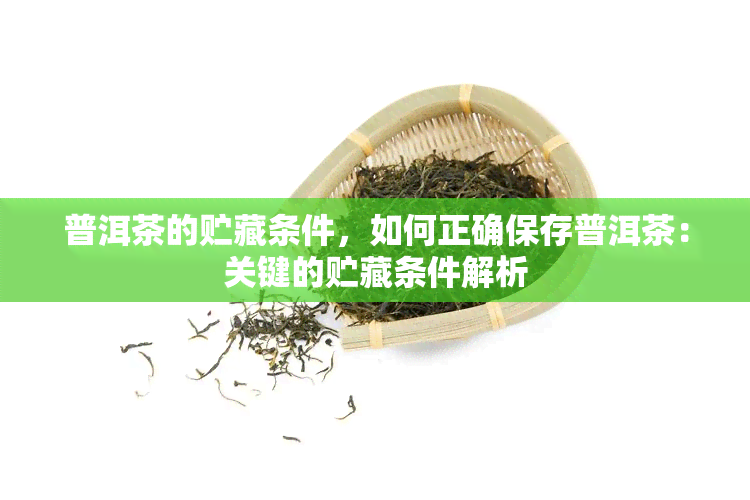 普洱茶的贮藏条件，如何正确保存普洱茶：关键的贮藏条件解析