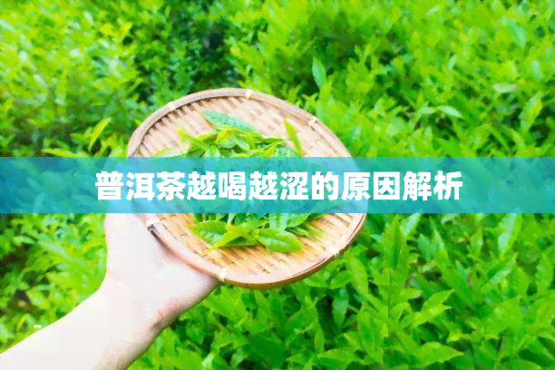 普洱茶越喝越涩的原因解析