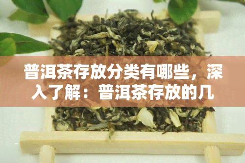 普洱茶存放分类有哪些，深入了解：普洱茶存放的几种常见分类