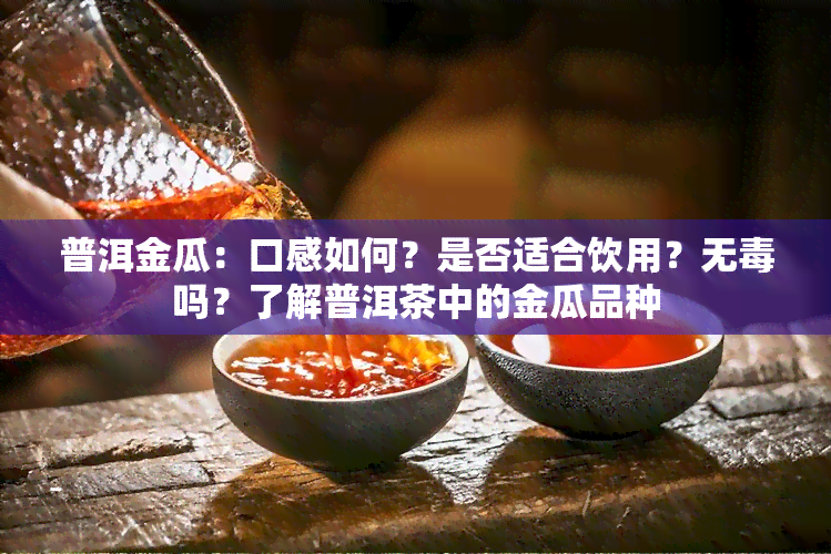 普洱金瓜：口感如何？是否适合饮用？无吗？了解普洱茶中的金瓜品种