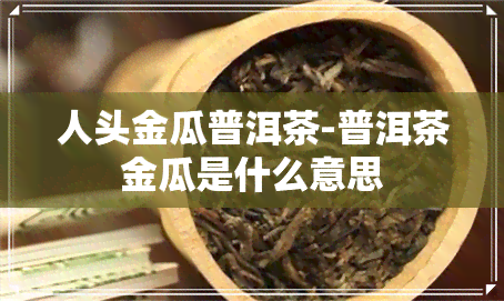 人头金瓜普洱茶-普洱茶金瓜是什么意思