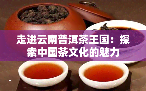 走进云南普洱茶王国：探索中国茶文化的魅力