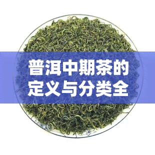 普洱中期茶的定义与分类全解析