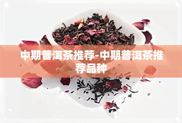 中期普洱茶推荐-中期普洱茶推荐品种