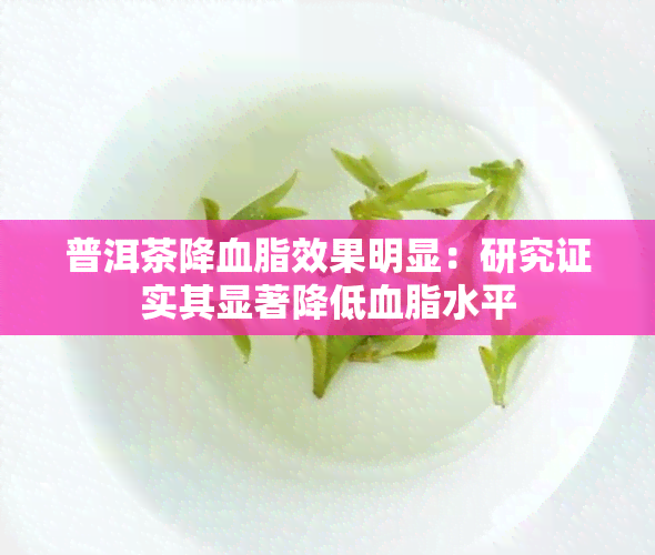 普洱茶降血脂效果明显：研究证实其显著降低血脂水平