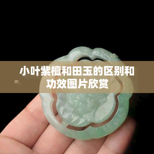 小叶紫檀和田玉的区别和功效图片欣赏