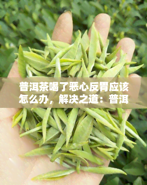 普洱茶喝了恶心反胃应该怎么办，解决之道：普洱茶引发的恶心反胃症状如何缓解？