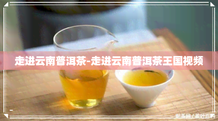 走进云南普洱茶-走进云南普洱茶王国视频