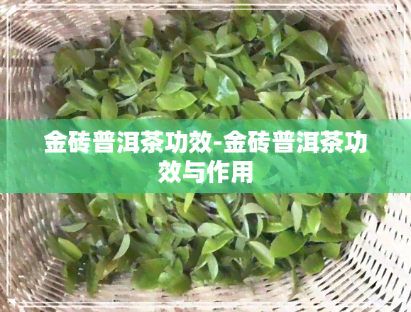 金砖普洱茶功效-金砖普洱茶功效与作用